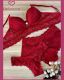 CONJUNTO TRIO DE RENDA SOUTIEN TIPO CROPPED CALCINHA CALEÇON E FIO